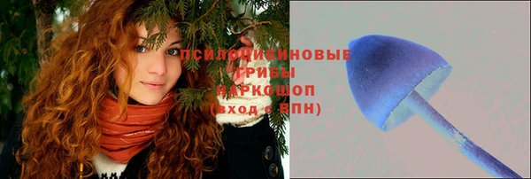 ГАЛЛЮЦИНОГЕННЫЕ ГРИБЫ Михайловск