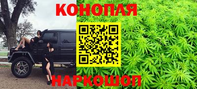 стафф Волгодонск