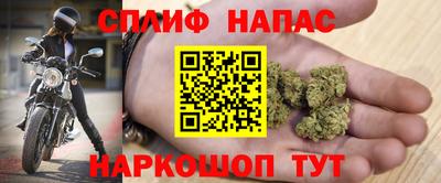 стафф Волгодонск